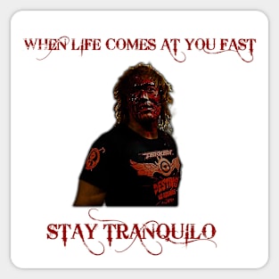 When Life Comes At You Fast... Stay Tranqulio Sticker